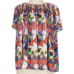 Dolan (Anthropologie) Cherie Floral Top | Size 1X